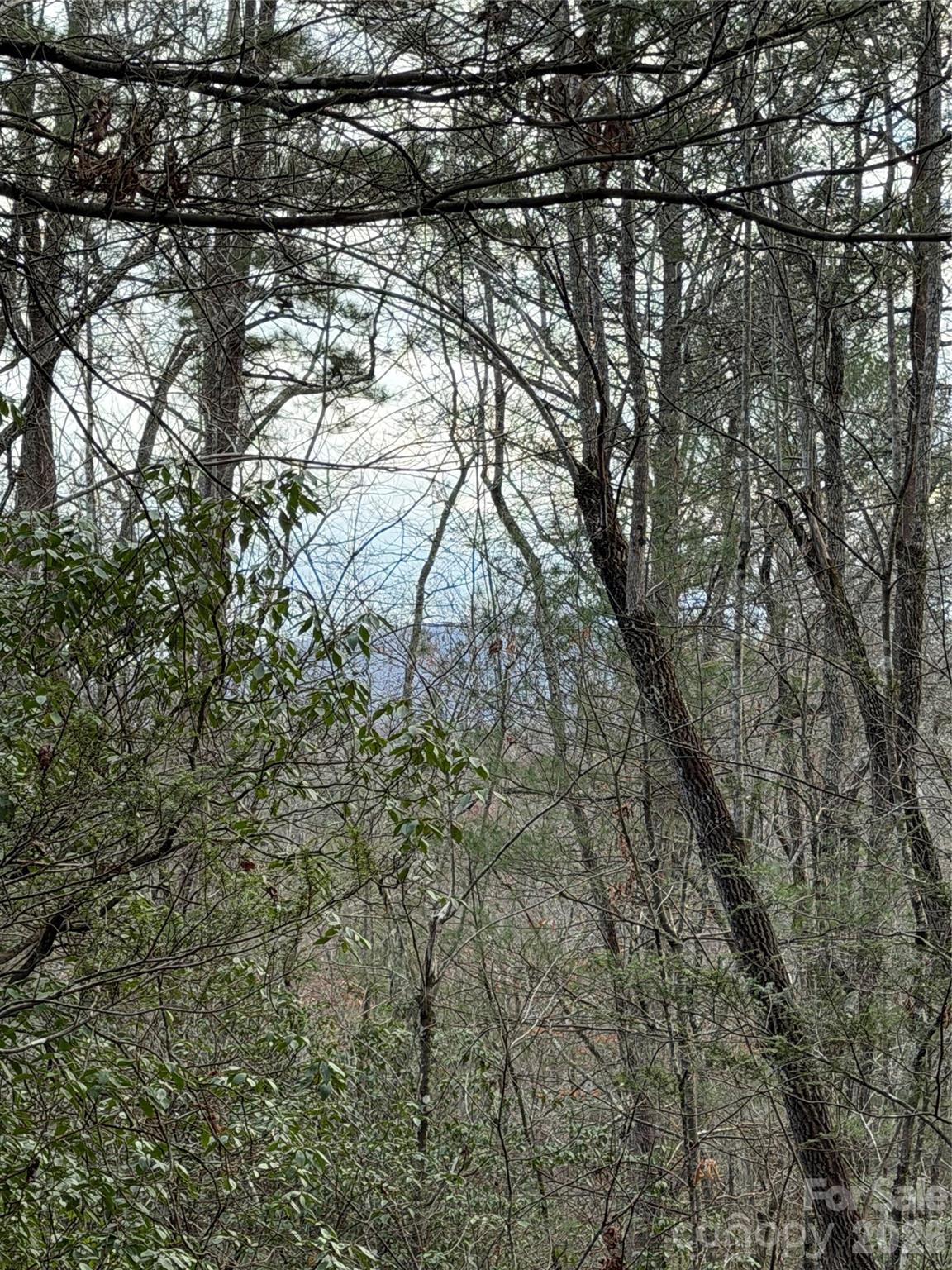 000 Fox Road Old Fort NC 28762