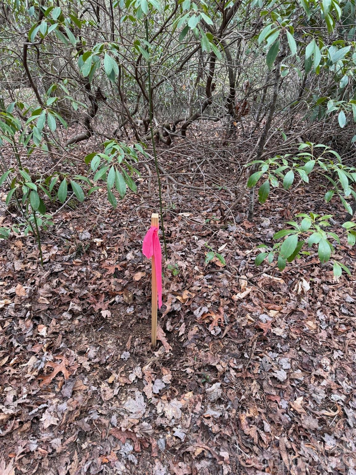 000 Fox Road Old Fort NC 28762