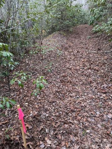000 Fox Road Old Fort NC 28762