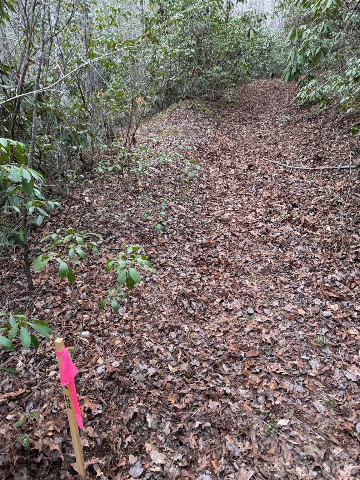 000 Fox Road Old Fort NC 28762