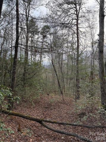 000 Fox Road Old Fort NC 28762