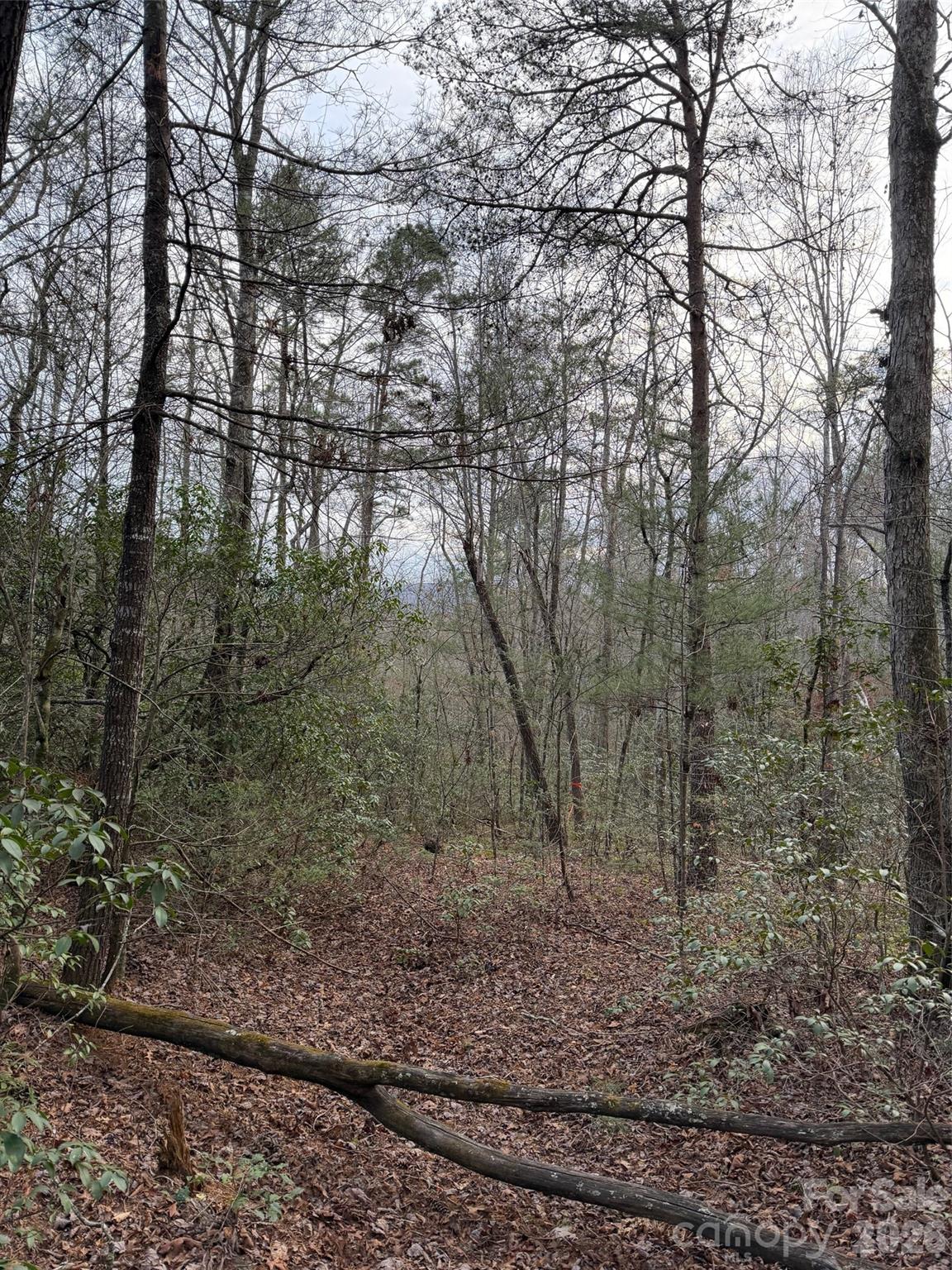 000 Fox Road Old Fort NC 28762