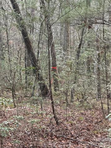 000 Fox Road Old Fort NC 28762