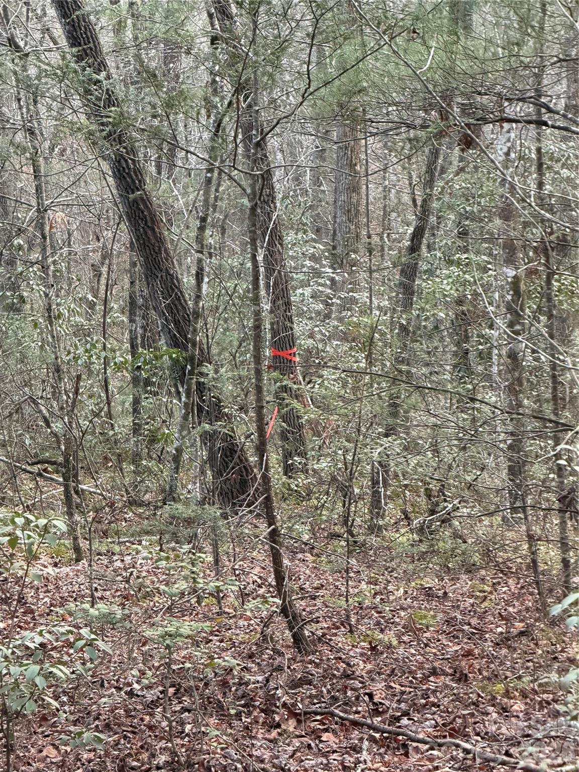 000 Fox Road Old Fort NC 28762