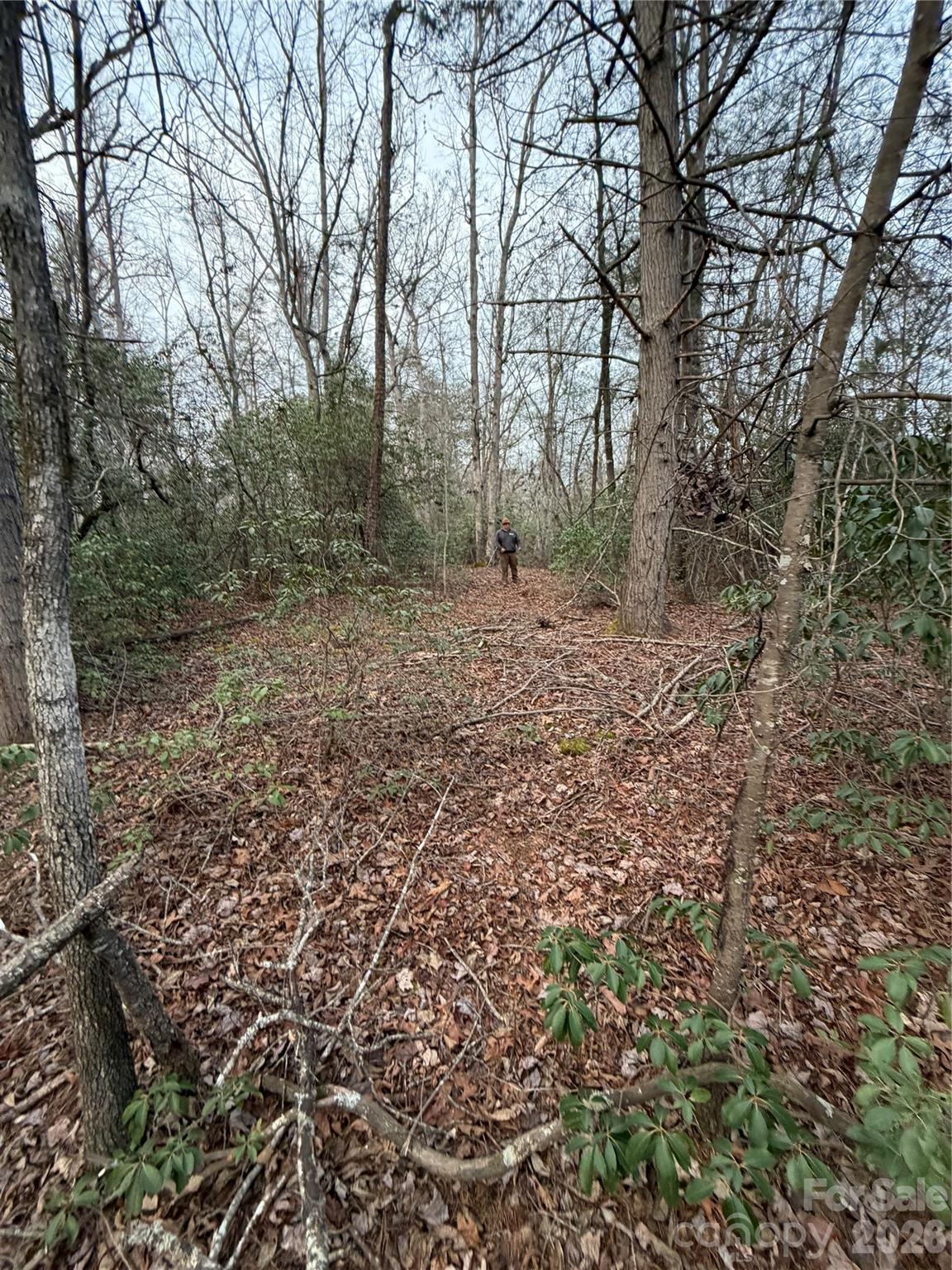 000 Fox Road Old Fort NC 28762