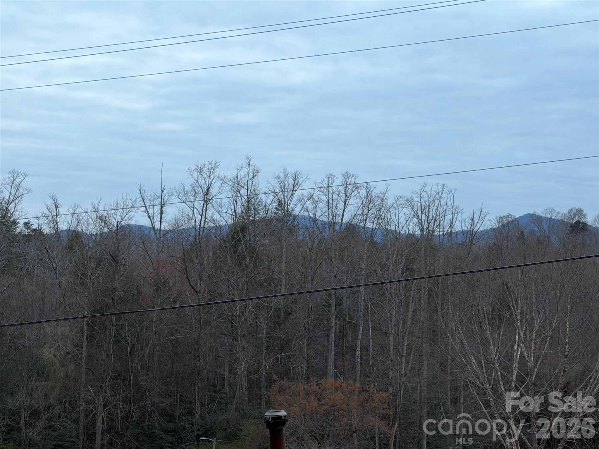 000 Fox Road Old Fort NC 28762