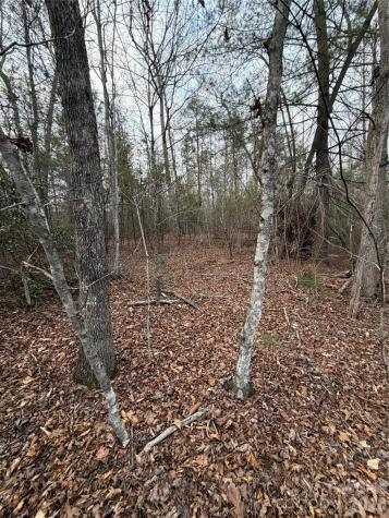 000 Fox Road Old Fort NC 28762