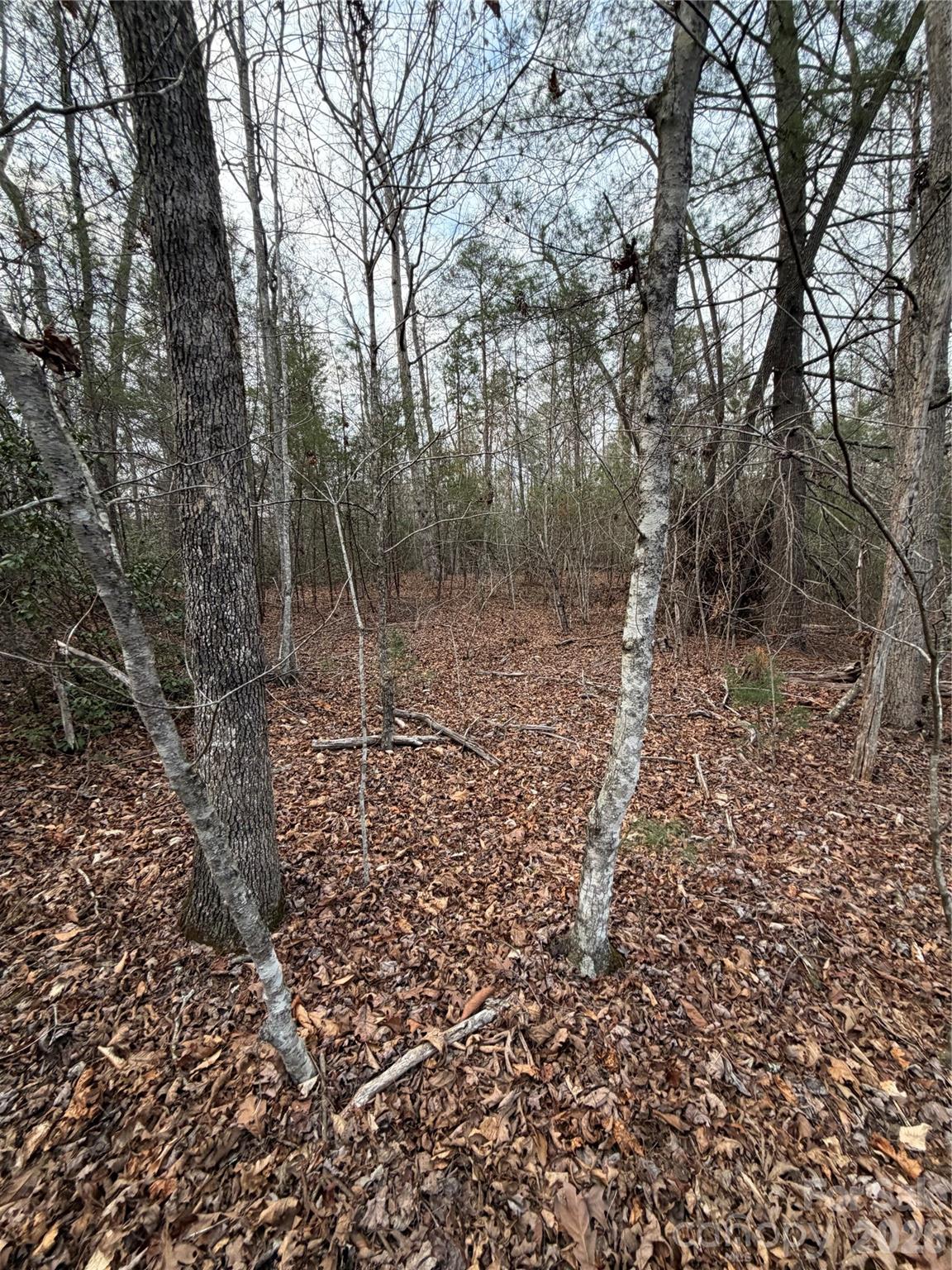 000 Fox Road Old Fort NC 28762