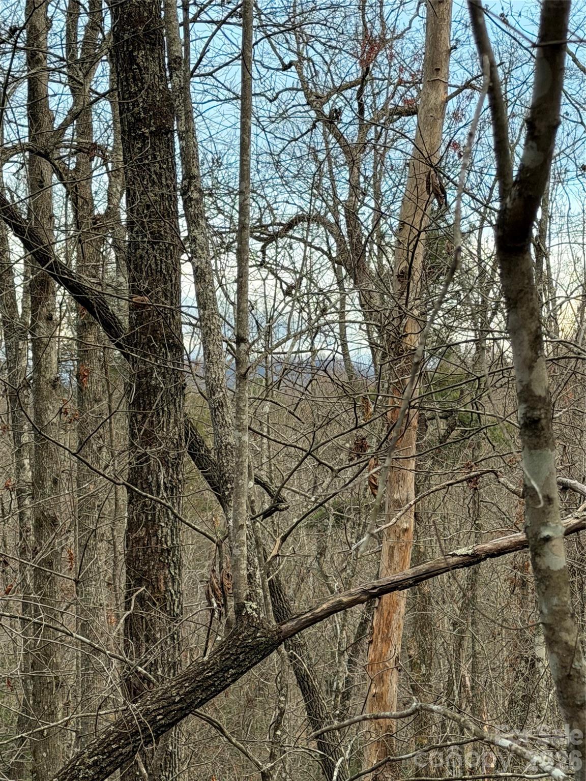 000 Fox Road Old Fort NC 28762