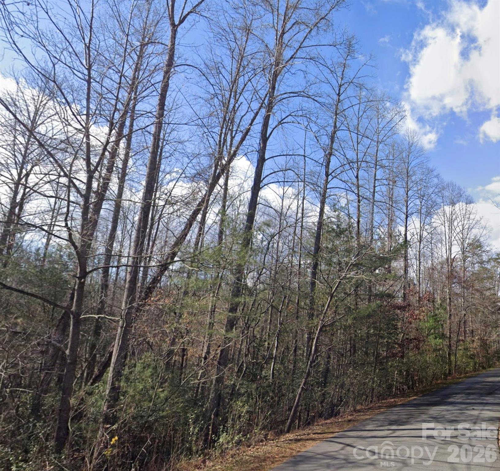 000 Fox Road Old Fort NC 28762