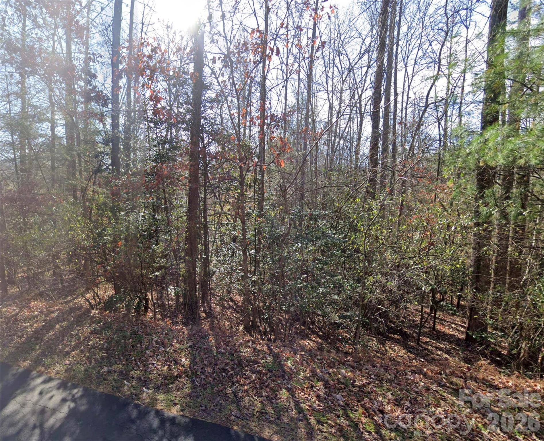 000 Fox Road Old Fort NC 28762