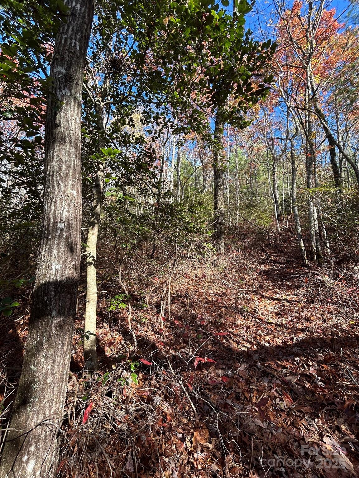 Lot 3 And 4 Oriole Road Brevard NC 28712