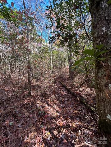 Lot 3 And 4 Oriole Road Brevard NC 28712