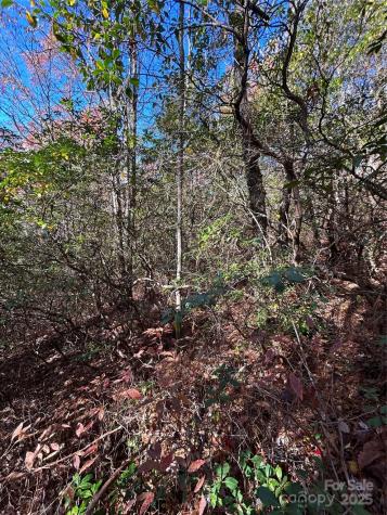 Lot 3 And 4 Oriole Road Brevard NC 28712