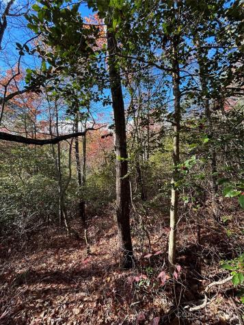 Lot 3 And 4 Oriole Road Brevard NC 28712