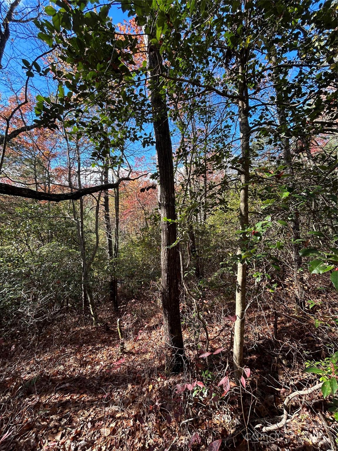 Lot 3 And 4 Oriole Road Brevard NC 28712