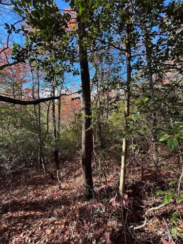 Lot 3 And 4 Oriole Road Brevard NC 28712