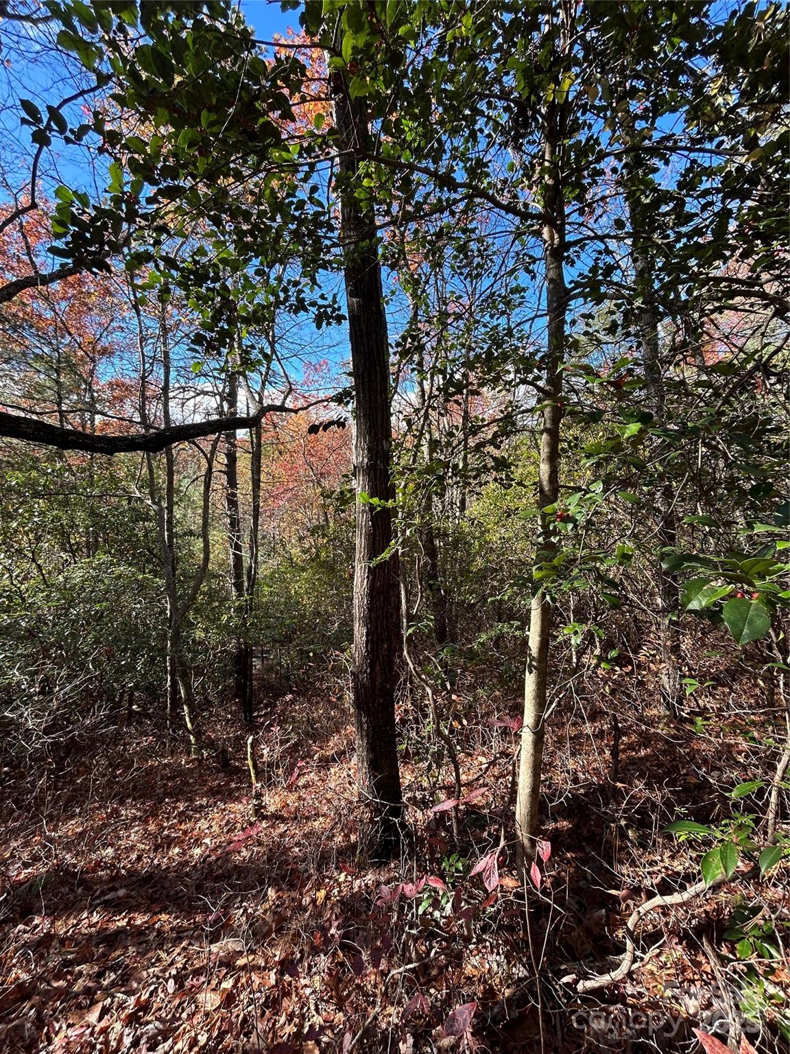Lot 3 And 4 Oriole Road Brevard NC 28712