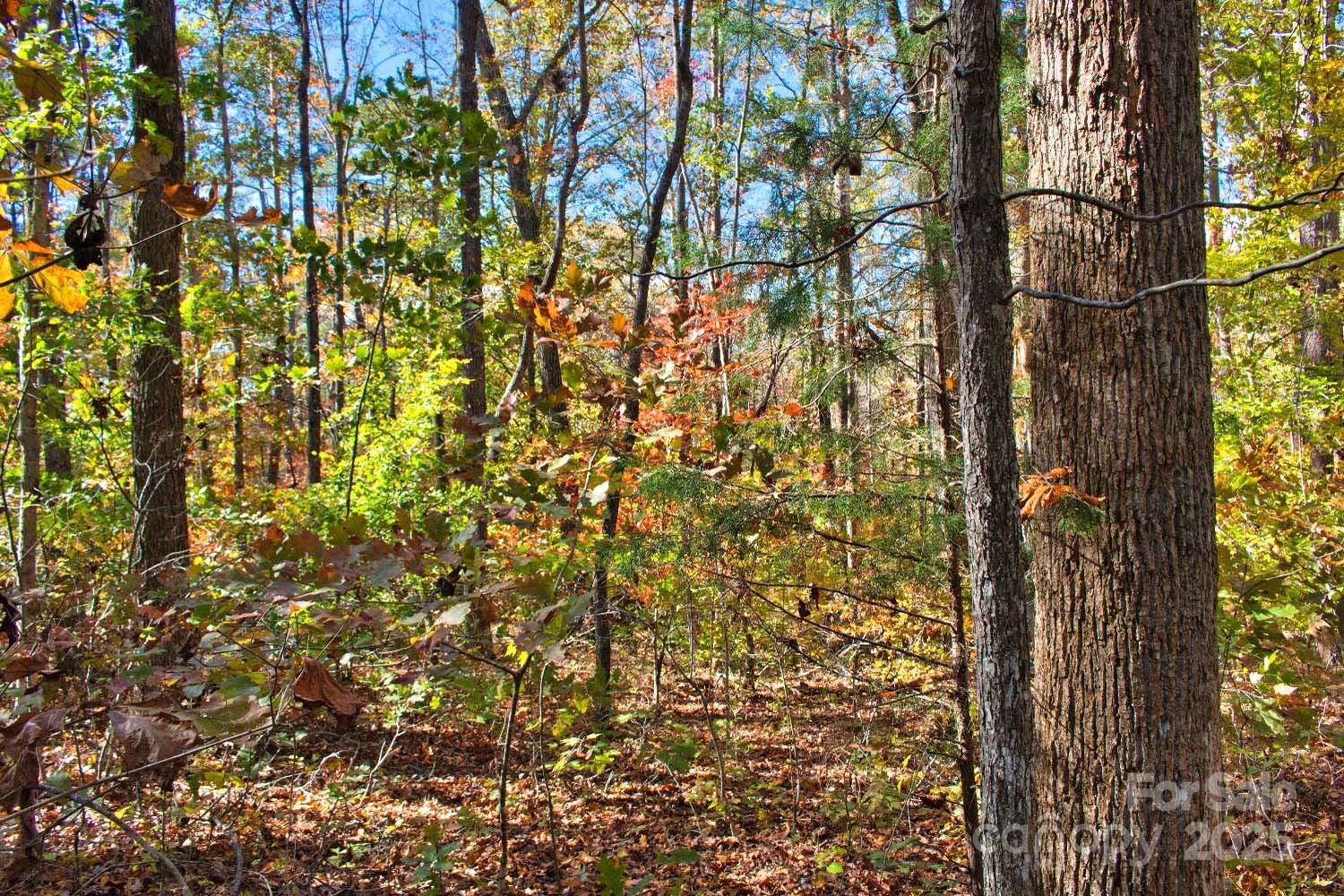 0 Bitteroot Circle Rutherfordton NC 28139