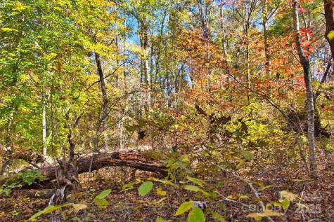 0 Bitteroot Circle Rutherfordton NC 28139