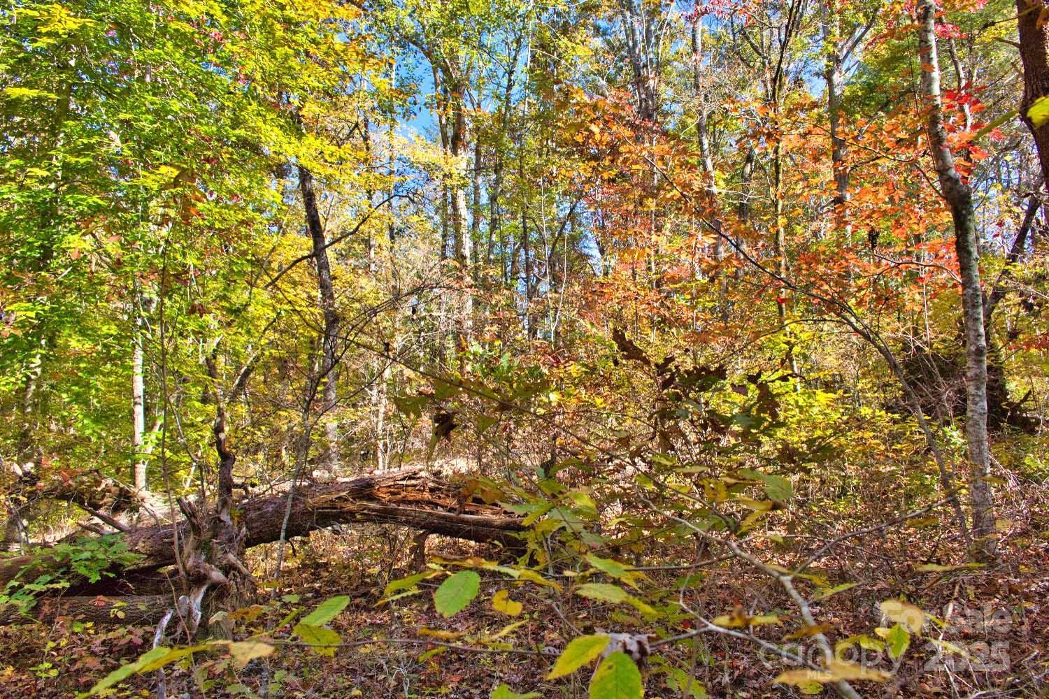 0 Bitteroot Circle Rutherfordton NC 28139