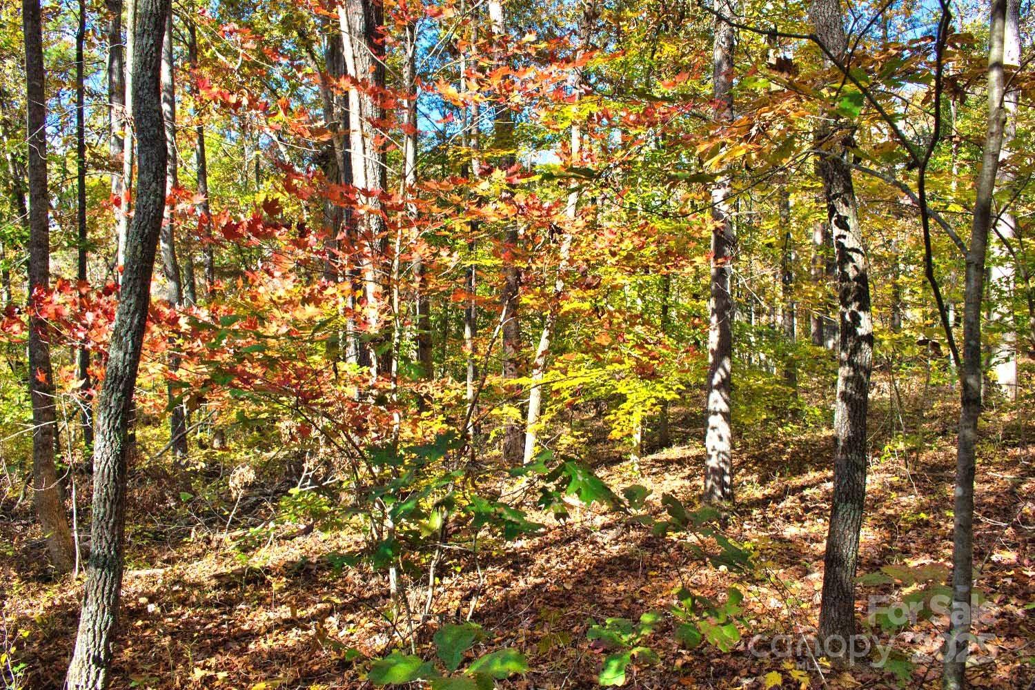 0 Bitteroot Circle Rutherfordton NC 28139