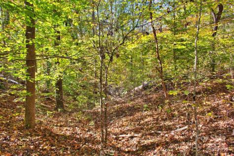0 Bitteroot Circle Rutherfordton NC 28139