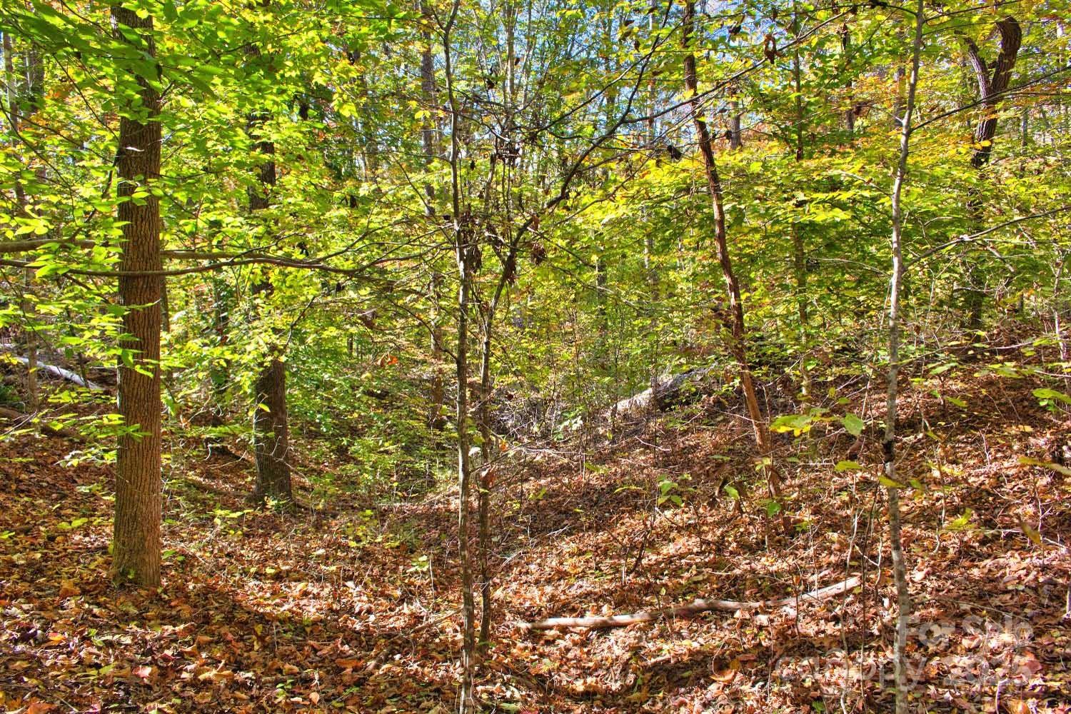 0 Bitteroot Circle Rutherfordton NC 28139