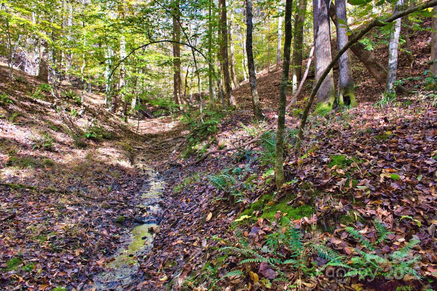 0 Bitteroot Circle Rutherfordton NC 28139
