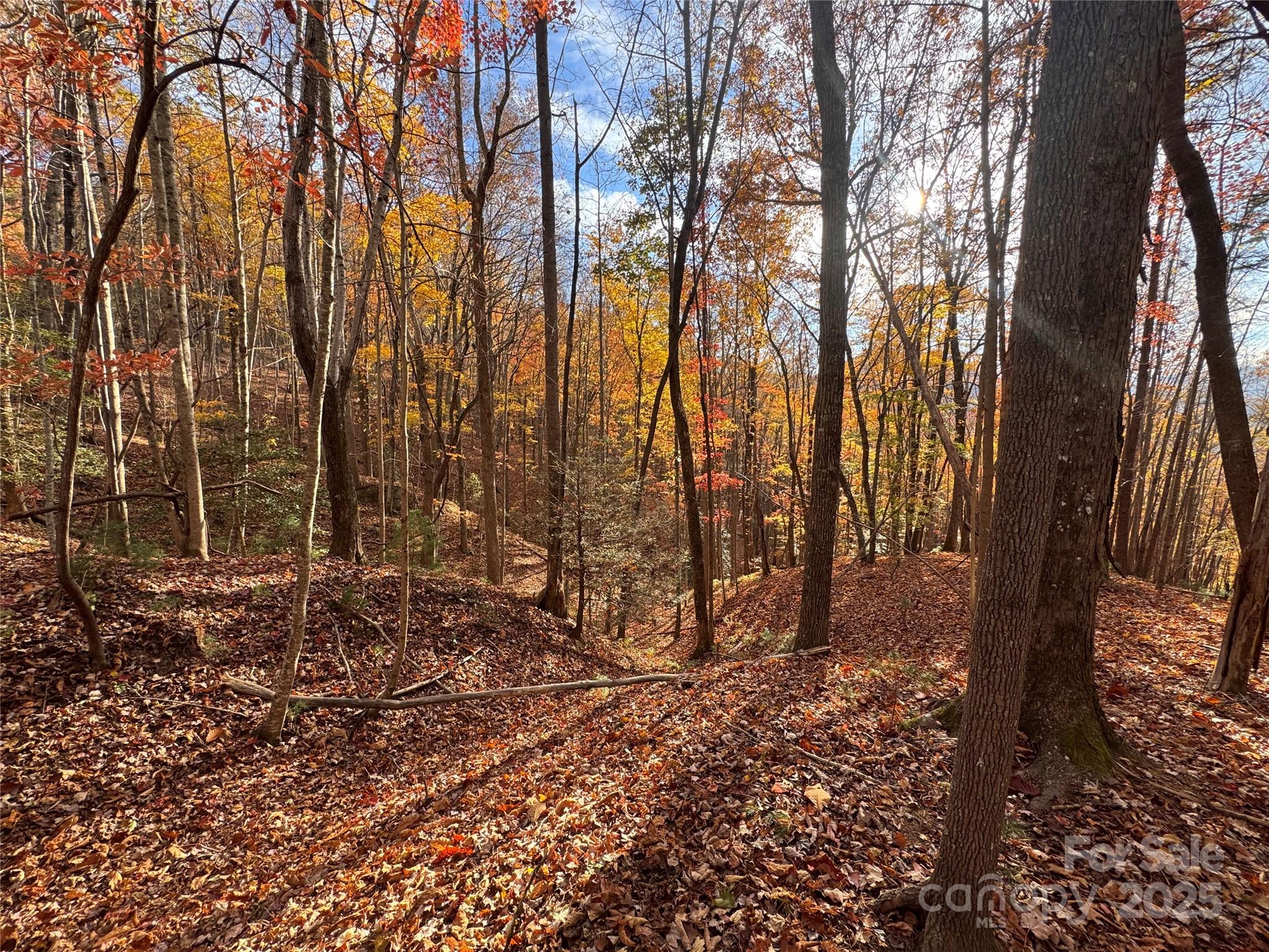 Tbd Winklers Way Road Lenoir NC 28645