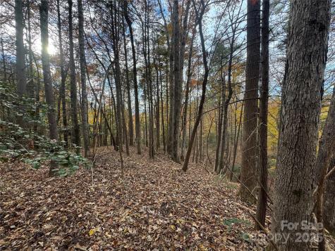 Tbd Winklers Way Road Lenoir NC 28645