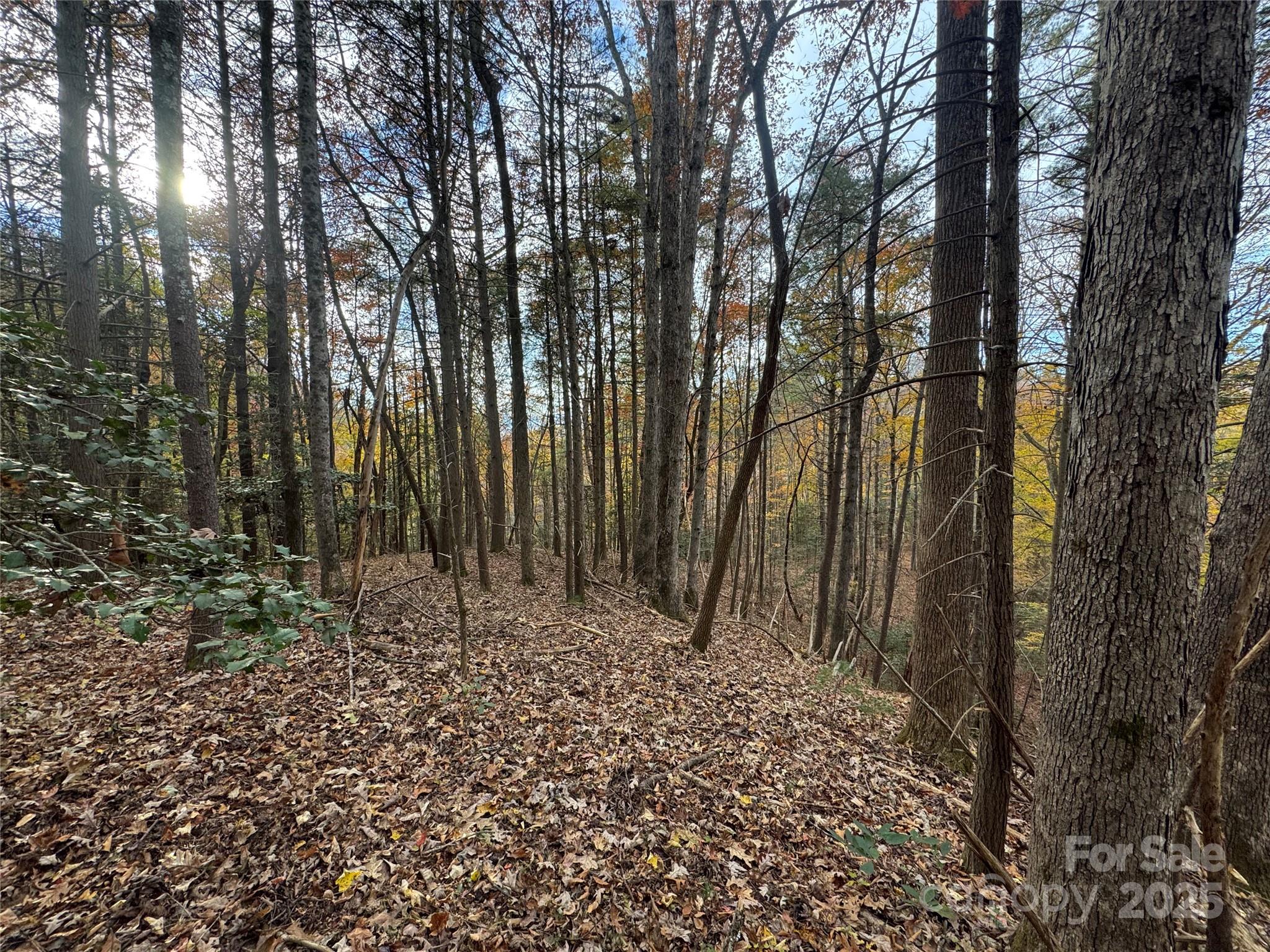 Tbd Winklers Way Road Lenoir NC 28645
