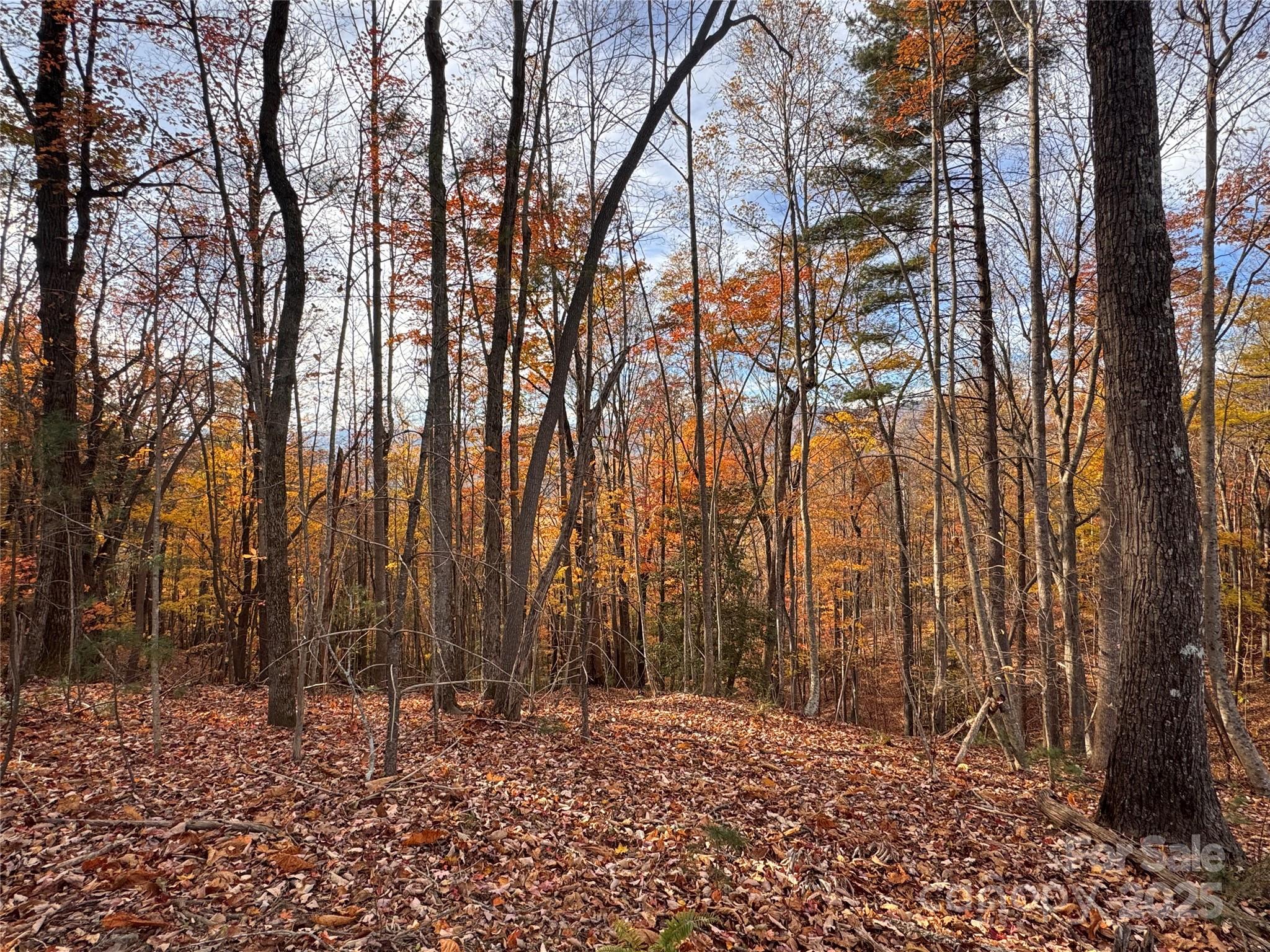 Tbd Winklers Way Road Lenoir NC 28645