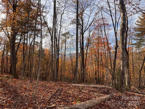 Tbd Winklers Way Road Lenoir NC 28645