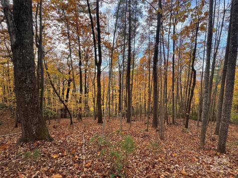Tbd Winklers Way Road Lenoir NC 28645