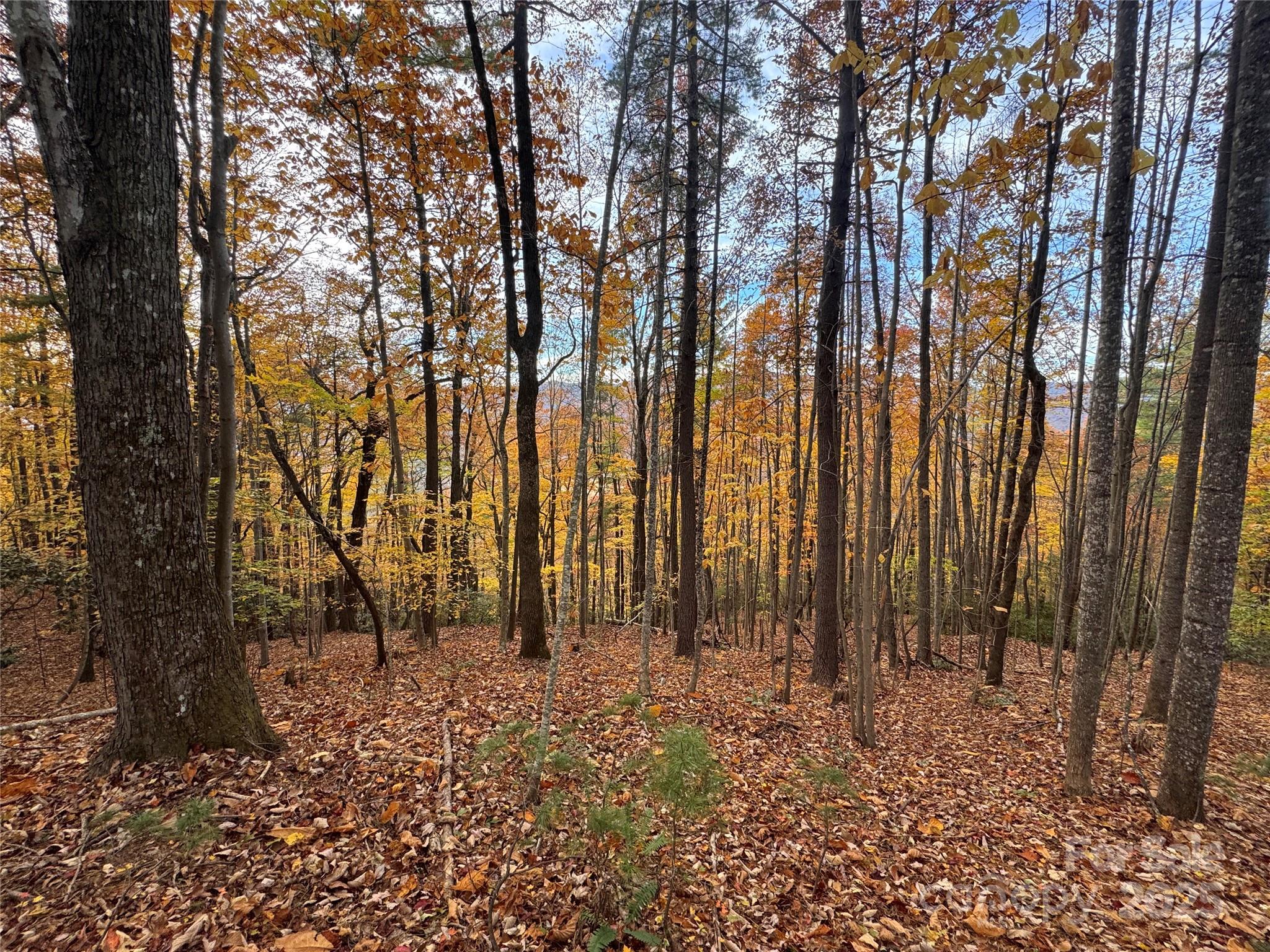 Tbd Winklers Way Road Lenoir NC 28645