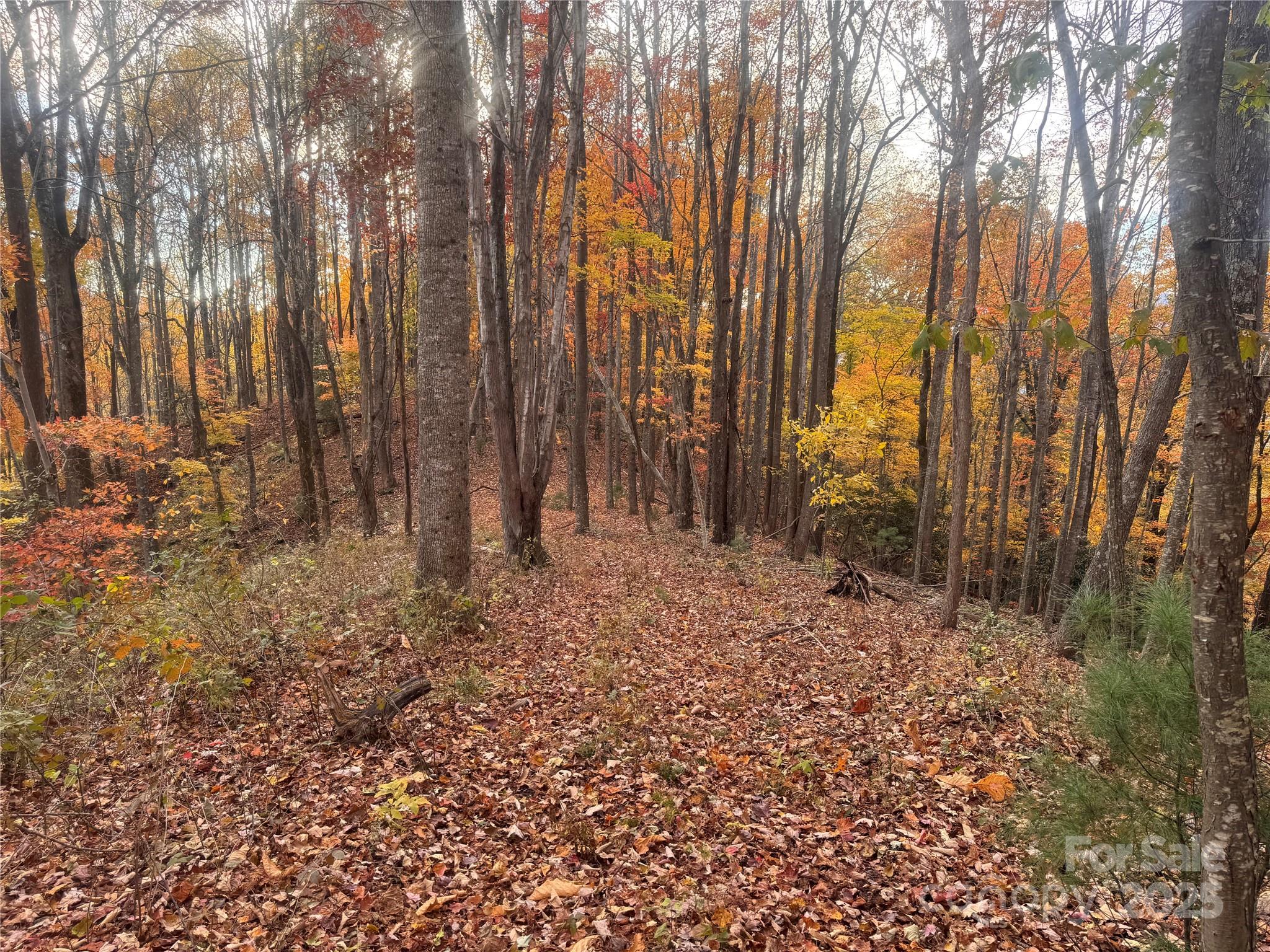 Tbd Winklers Way Road Lenoir NC 28645
