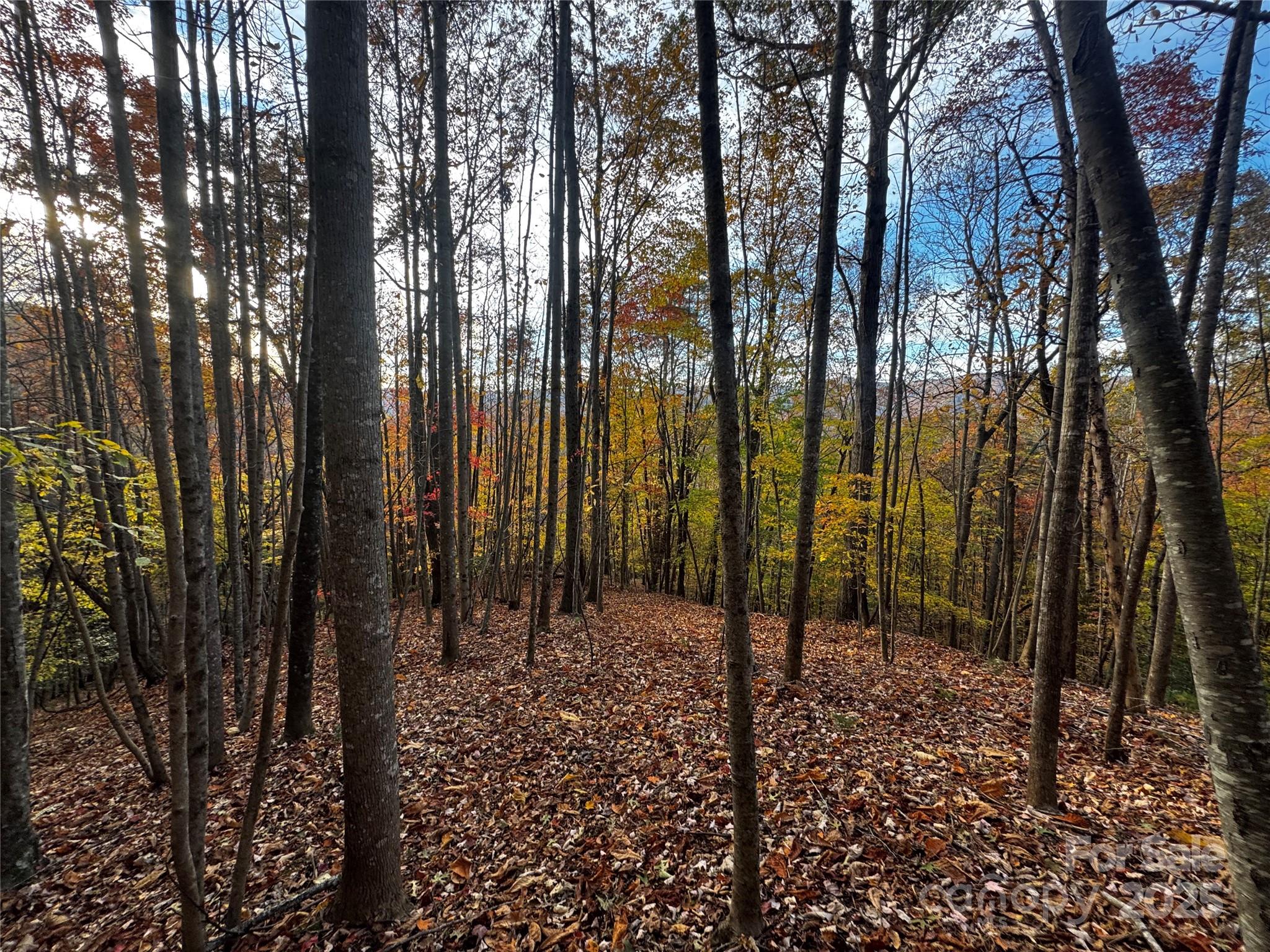 Tbd Winklers Way Road Lenoir NC 28645