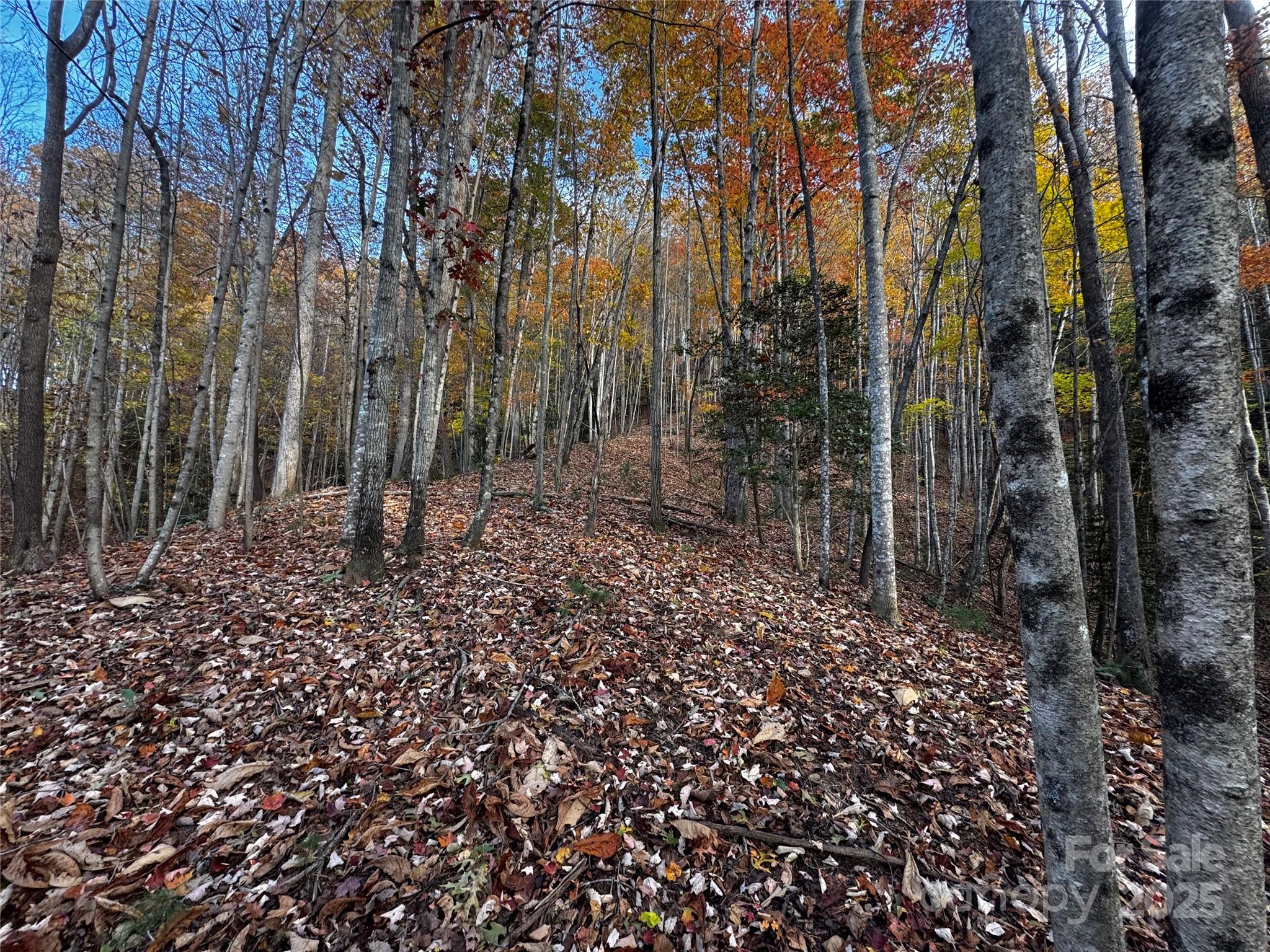 Tbd Winklers Way Road Lenoir NC 28645