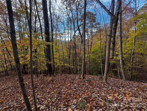 Tbd Winklers Way Road Lenoir NC 28645