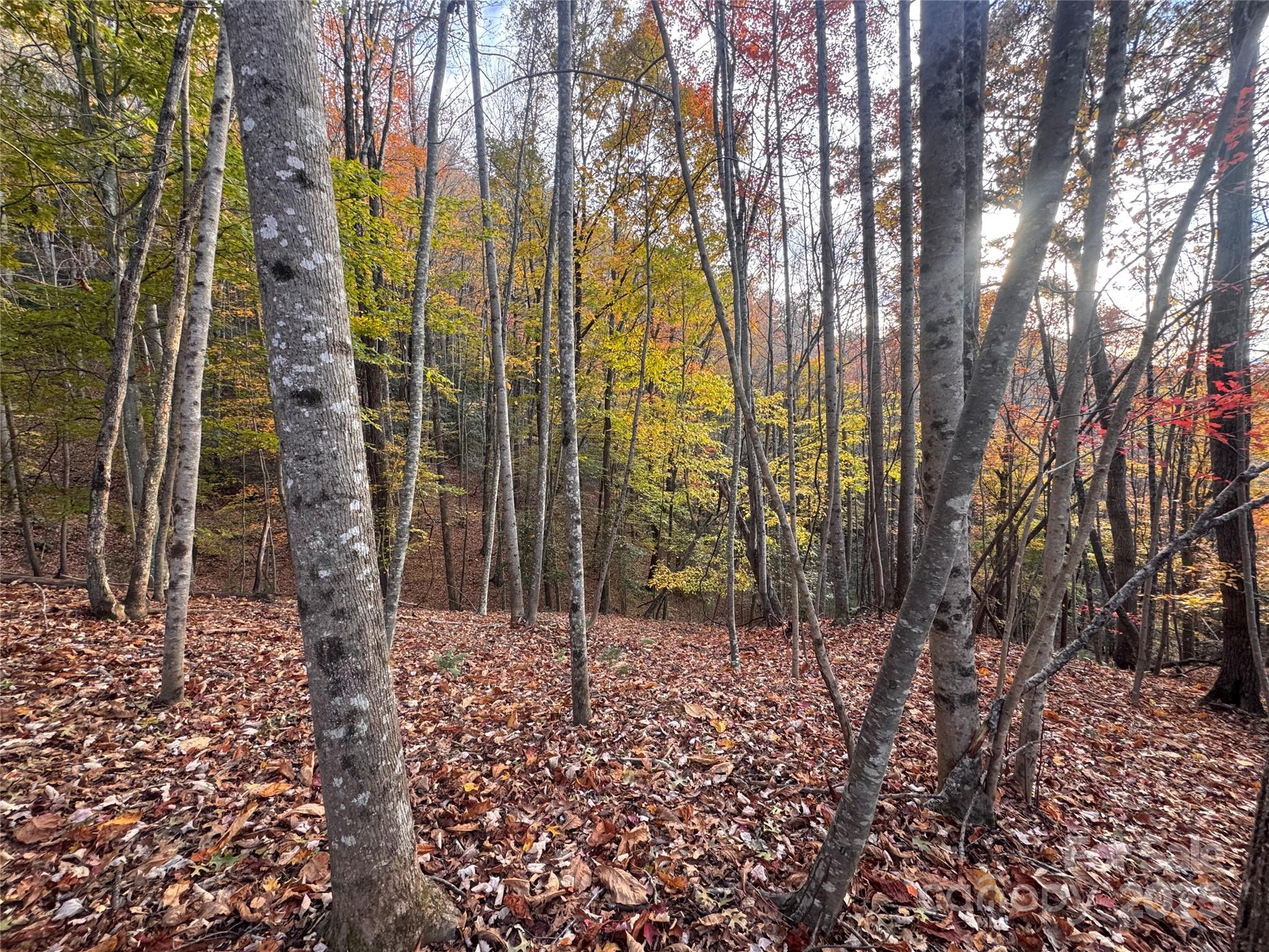 Tbd Winklers Way Road Lenoir NC 28645