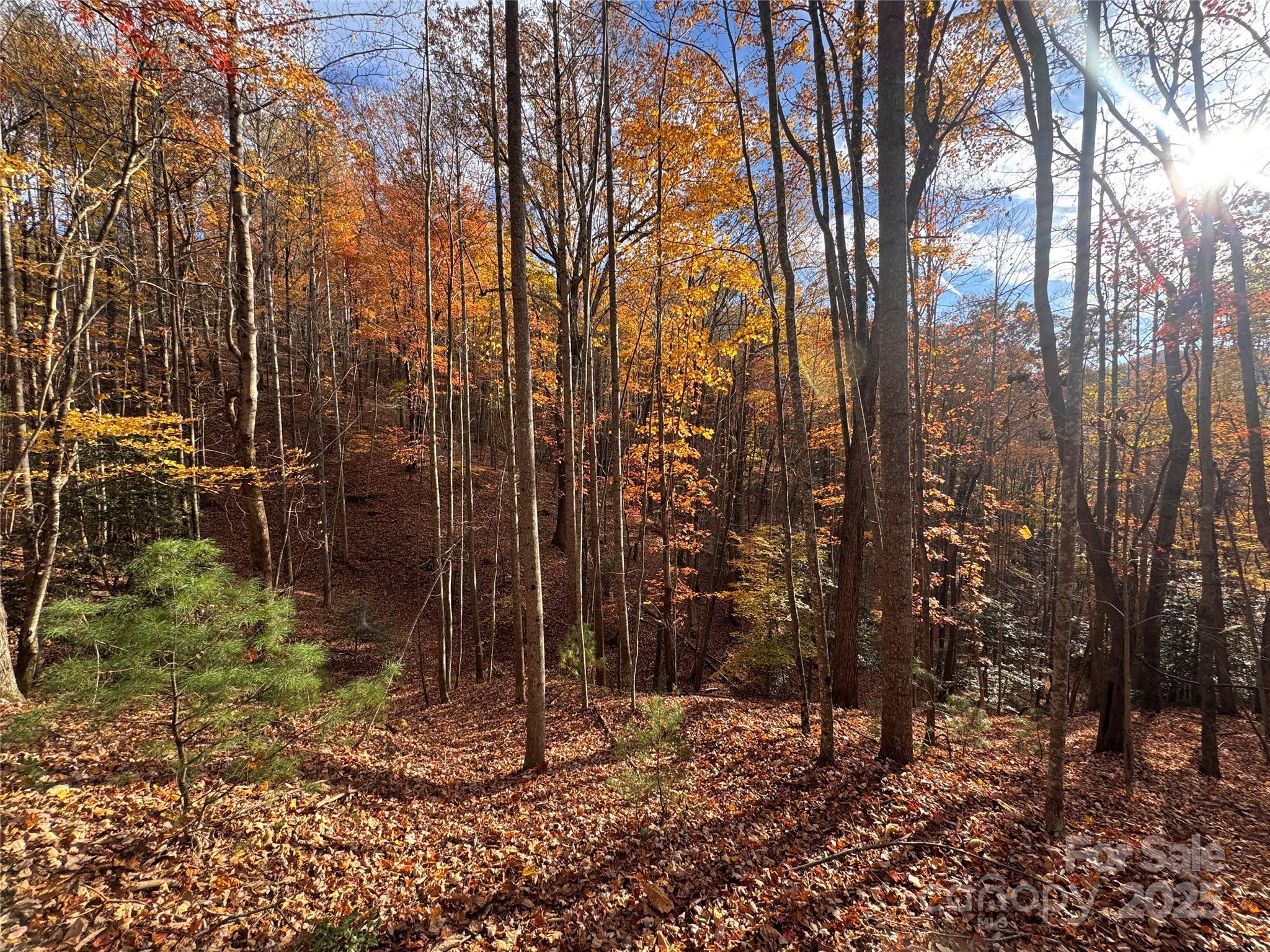 Tbd Winklers Way Road Lenoir NC 28645