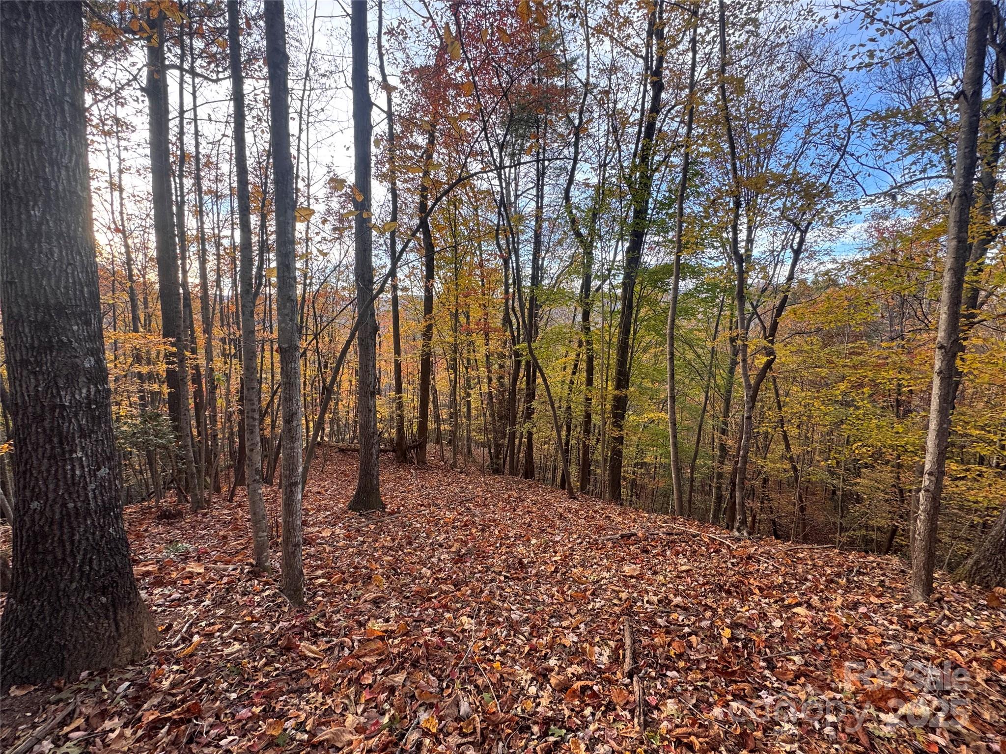 Tbd Winklers Way Road Lenoir NC 28645