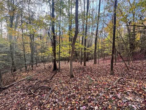 Tbd Winklers Way Road Lenoir NC 28645