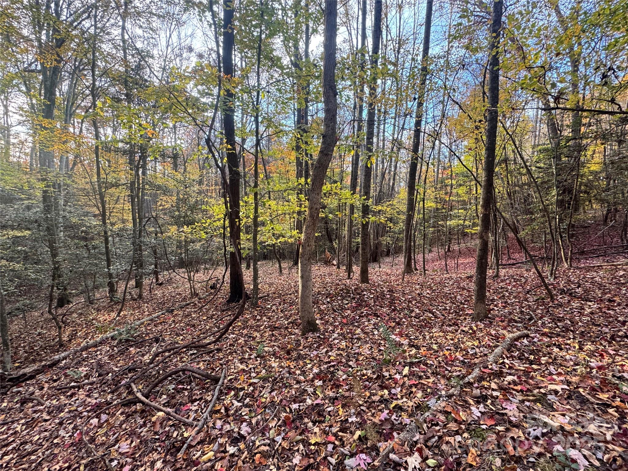Tbd Winklers Way Road Lenoir NC 28645