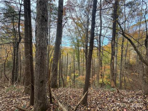 Tbd Winklers Way Road Lenoir NC 28645