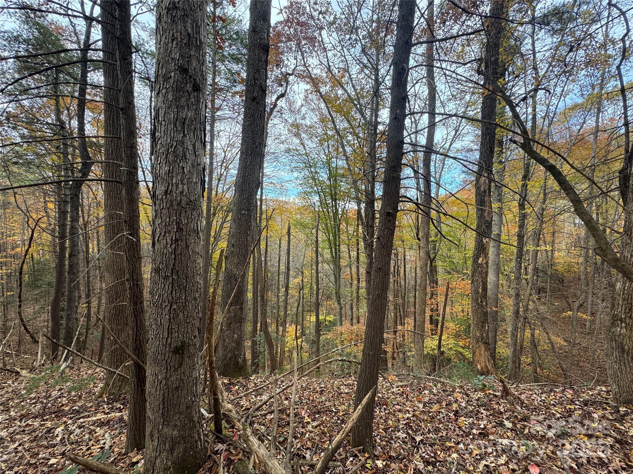 Tbd Winklers Way Road Lenoir NC 28645