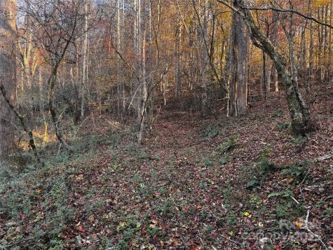 Tbd Winklers Way Road Lenoir NC 28645