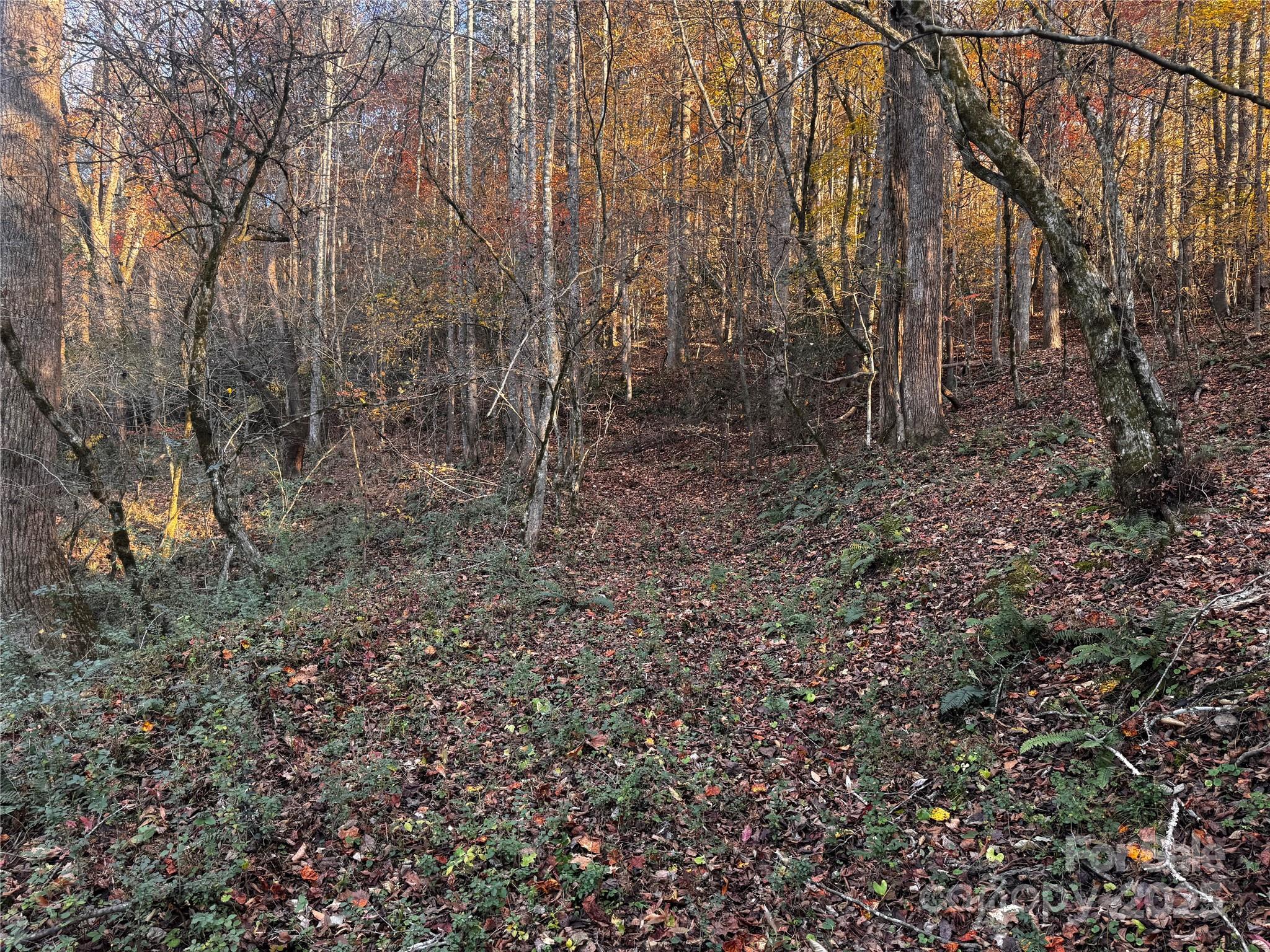 Tbd Winklers Way Road Lenoir NC 28645
