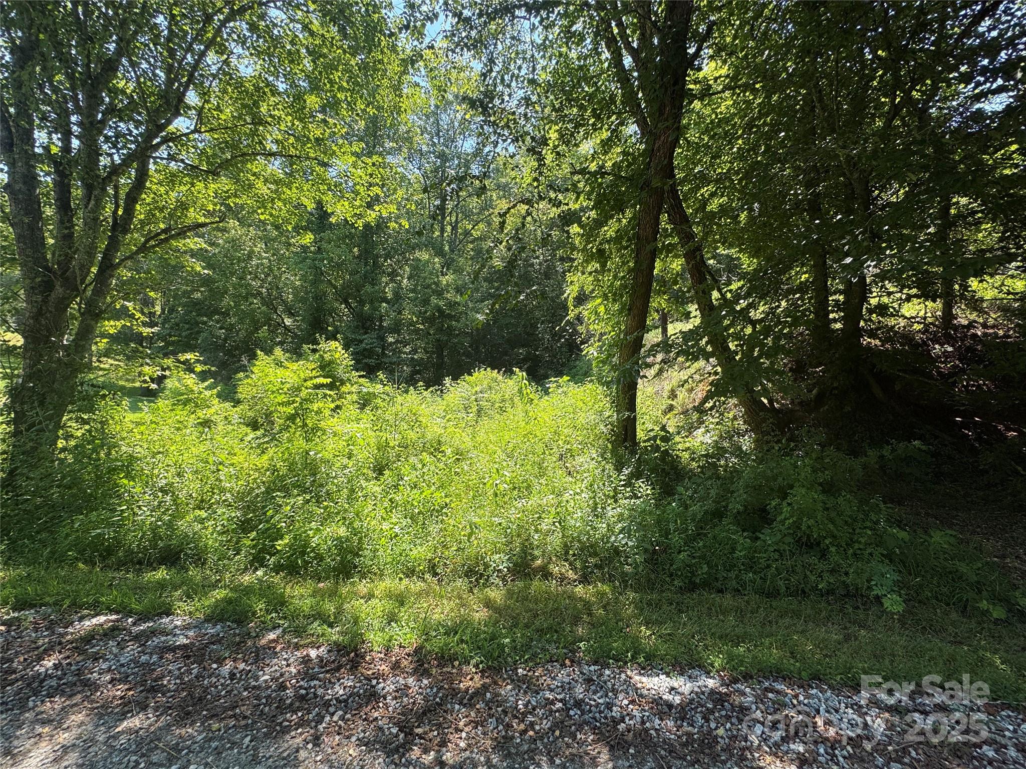 Tbd Winklers Way Road Lenoir NC 28645